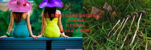 винт Алзамай