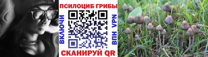 Псилоцибиновые грибы мицелий  где купить наркотик  blacksprut как зайти  Люберцы 